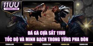 Đá Gà Cựa Sắt 11UU - Tốc Độ, Minh Bạch Trong Từng Pha Đòn