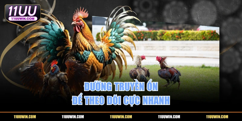 Đường truyền ổn để theo dõi cực nhanh